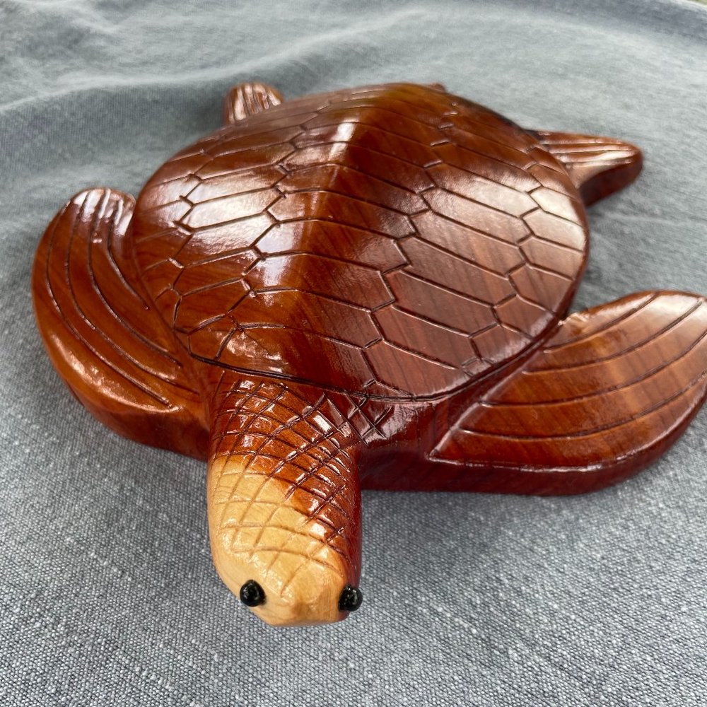Sea Turtle